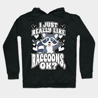 I Just Really Like Racoons OK Hoodie